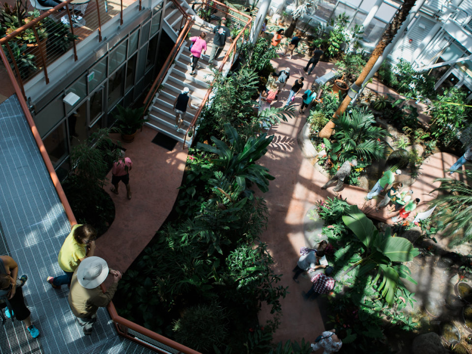 An aerial view of the Cheyenne Botanic Gardens Conservatory, showing its multiple levels, colorful foliage, and array of visitors.