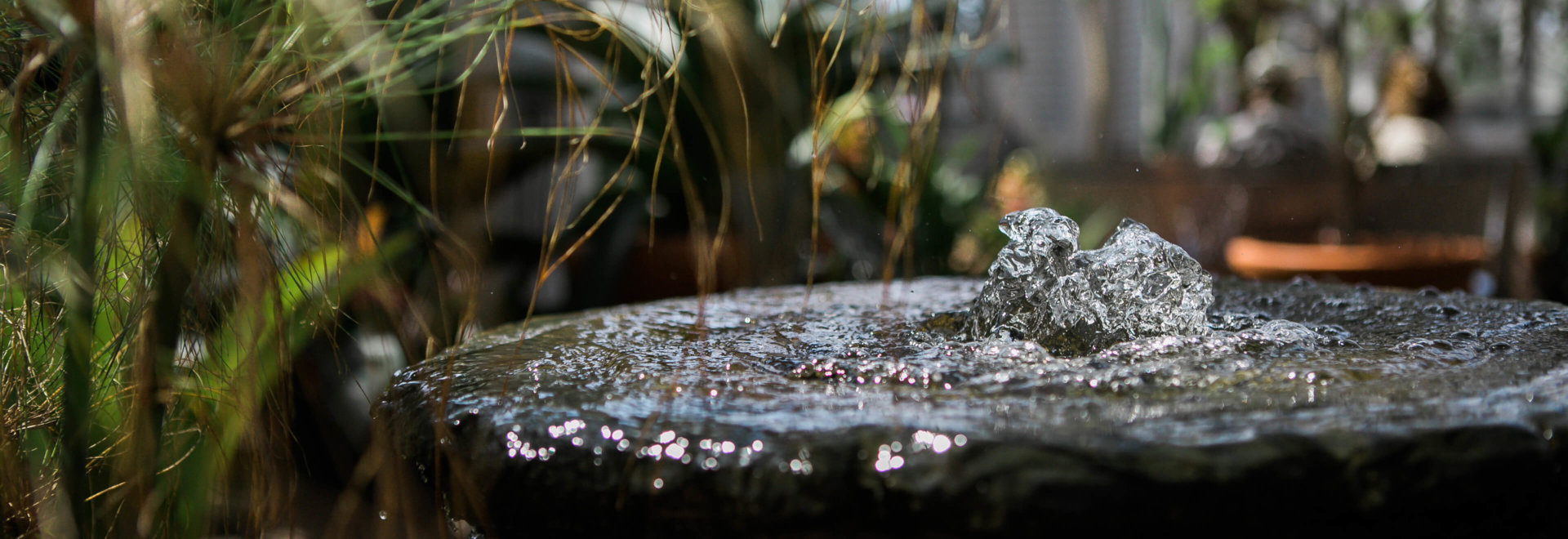 Water bubbles up from the center of a stone fountain.