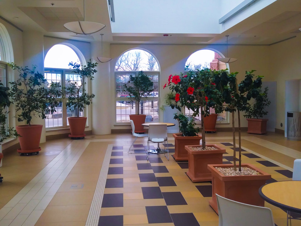 Combined Gathering Rooms with colorful tile flooring and indoor plants at Cheyenne Botanic Gardens