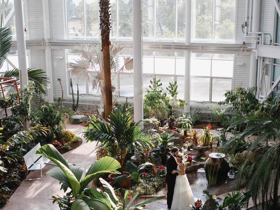An aerial shot of a bride and groom, posing in an embrace, inside the Cheyenne Botanic Gardens Conservatory.