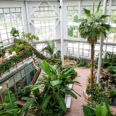 Lush, green plants grow inside the sunny Conservatory of the Cheyenne Botanic Gardens.