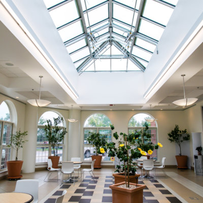 Sunlight spills through a skylight in the Orangerie room of the Cheyenne Botanic Gardens.