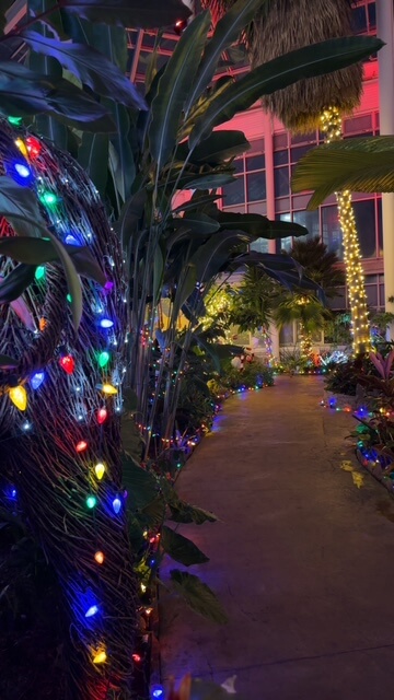 CjYKMlNuYXBjaGF0LzEzLjE5LjAuNDIgKGlQaG9uZTE1LDI7IGlPUyAxOC4xLjE7IGd6aXApIAI=