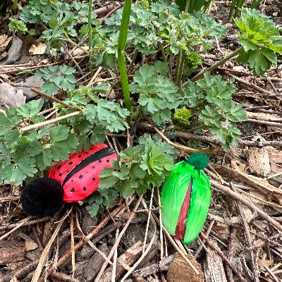 Ladybug and Beetle on a green plant