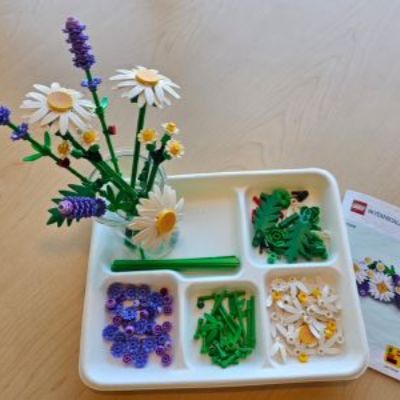 Lego Daisy display and Lego bricks