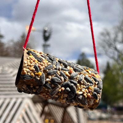 hanging bird feeder made from a toilet paper roll.