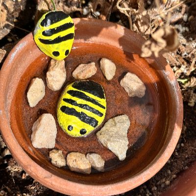 Rock bee bath