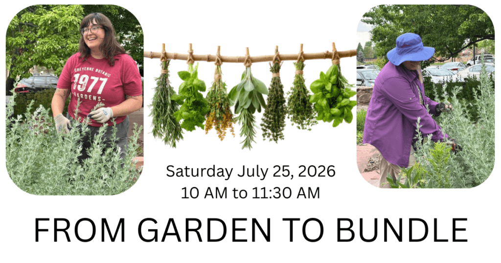 A picture of two staff employees cutting herbs. Herbs hanging between the two pictures. Saturday Jully 25, 2026 10 Am to 11 AM From Garden To Bundle