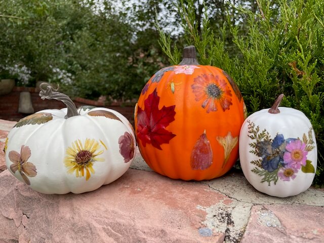 decoupage pumpkins of varies sizes and colors.