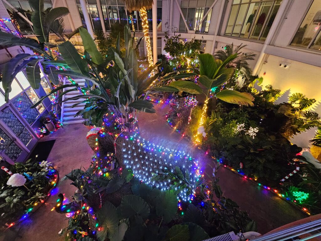 Tropical Conservatory decorated with Christmas lights